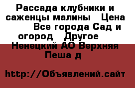 Рассада клубники и саженцы малины › Цена ­ 10 - Все города Сад и огород » Другое   . Ненецкий АО,Верхняя Пеша д.